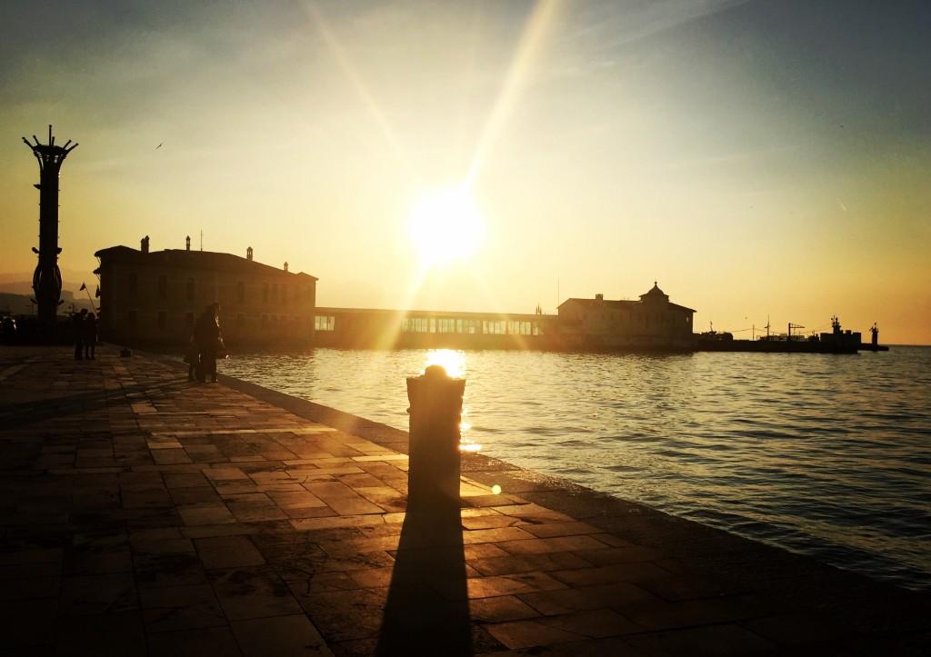 Kuşadası Web Tasarım